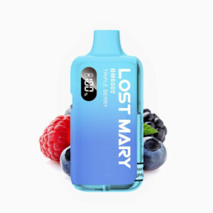 Lost Mary BM6k Puffs Mint Menthol Disposable | Vape Store Chennai