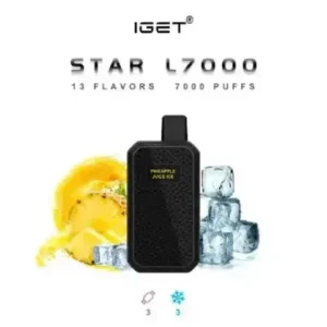 IGET SUN KP20000 Black Ice – Vape Store Chennai